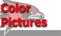 SEMO 1969 Hall Of Fame Track Team